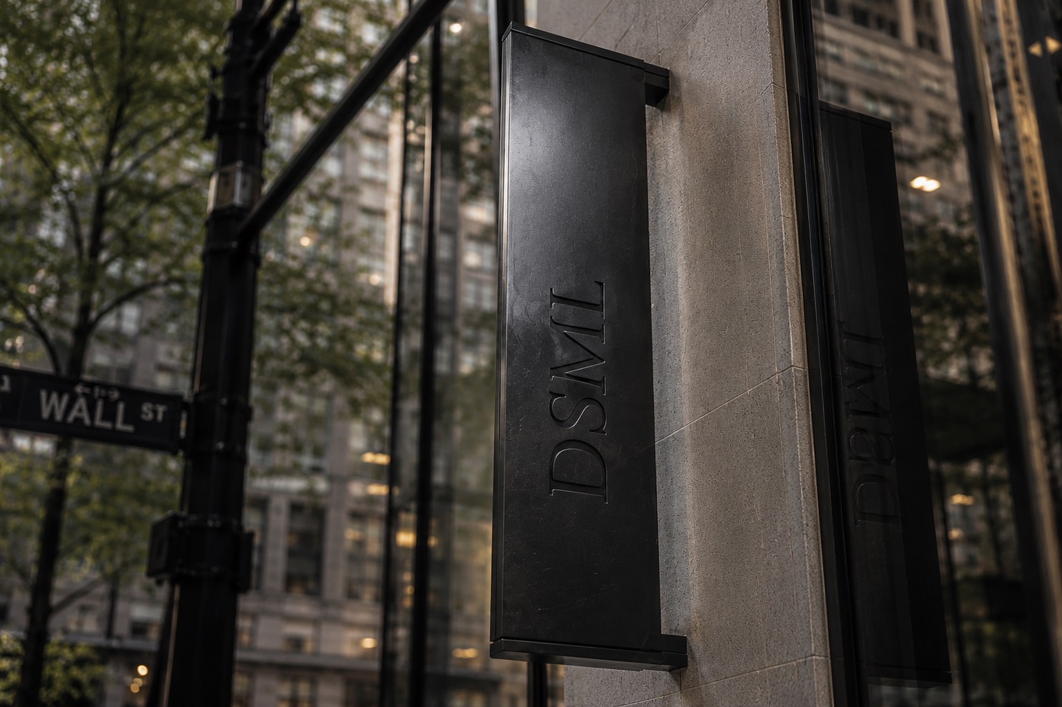 DSML Holdings New York Branch